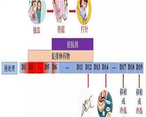 试管移植进周·人工周期①