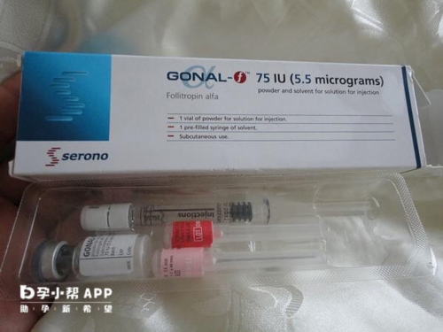 试管婴儿一般有几个卵泡