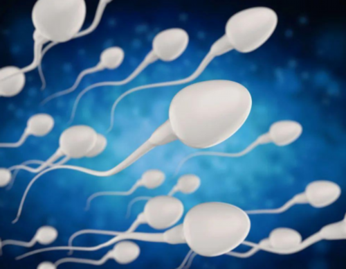 2026南昌试管婴儿不排队医院名单公布，附三代试管婴儿试管怀孕价目表
					