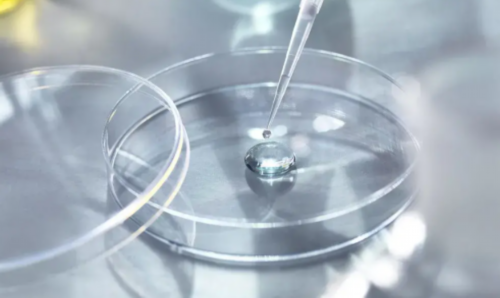 南昌助孕试管医院有哪些_南昌做试管的医院排名地图！