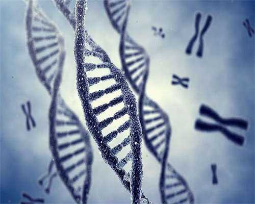 国内供卵价格多少+做试管代孕最好的医院,试管婴儿移植后怎么样容易着床