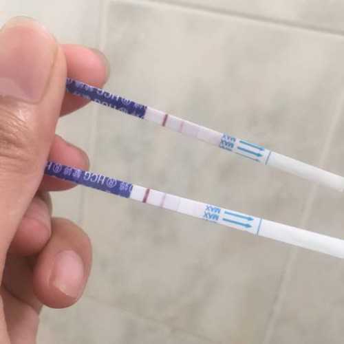 景德镇试管费用明细