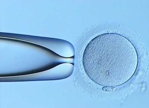 助孕生殖公司&地屈孕酮片月经不来可以吃吗，孕酮低服用地屈孕酮片的剂量