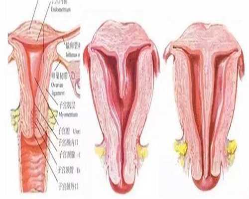 妇科与生殖|早孕期血HCG监测