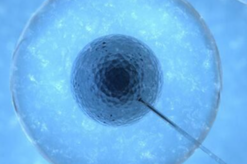 俄罗斯助孕包成功_助孕包成功多少钱,河北医科大第一医院试管怀孕！千万不要