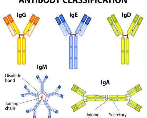 南昌三代试管筛查一个多少钱