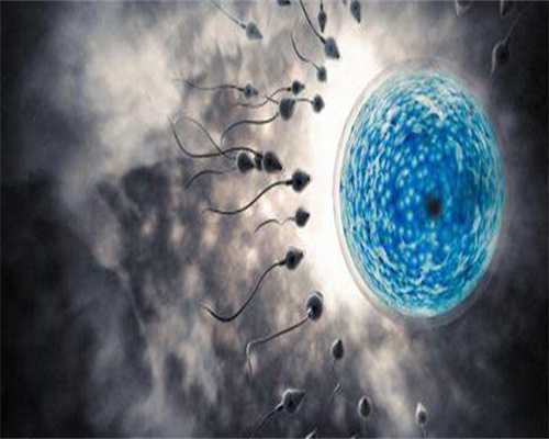 想找个代孕公司&代孕中心费用问题,促排卵16个成功率，想试管成功率高看这！