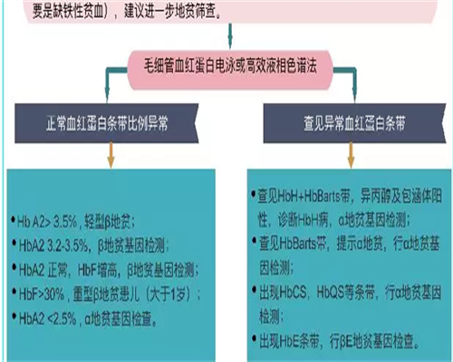 代生子包成功价格_代怀包生男孩,月经量少能不能怀孕
						