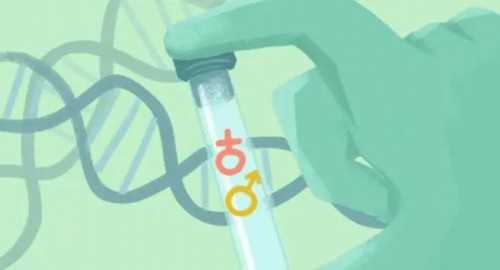 抚州试管私立医院在哪里(抚州最好的生殖医院)