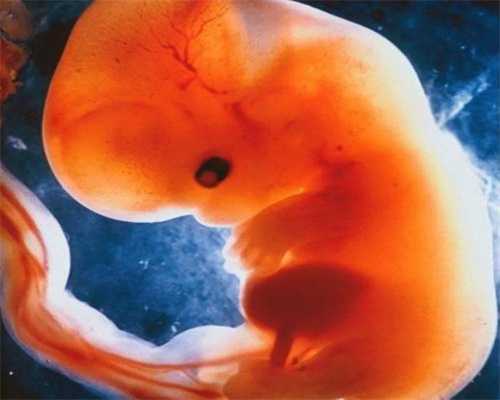 国内供卵难吗，国内供卵试管生男孩几率大吗,三胎做三代试管费用-三胎做三代