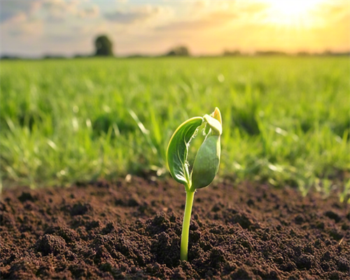 试管婴儿三代还有畸形吗